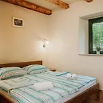 Apartmaji Pajer *