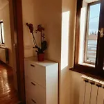 Apartmaji Pajer 公寓 *