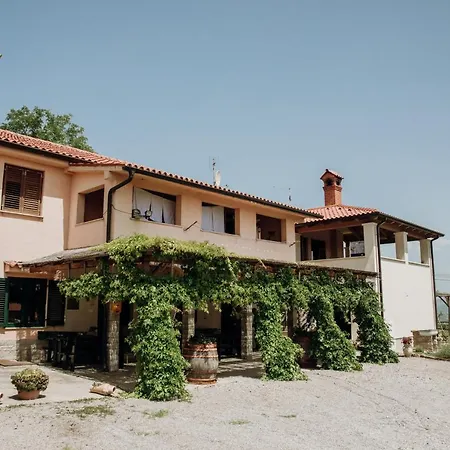 Apartmaji Pajer