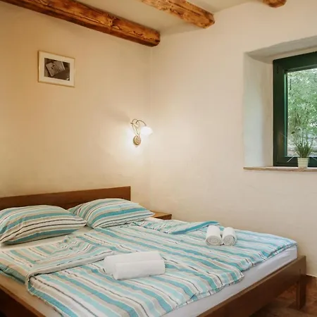 Apartmaji Pajer *
