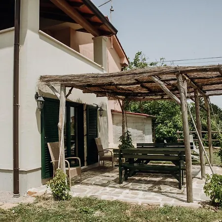 Apartmaji Pajer